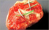 http://www.hwrfood.com/ch/img/menu/menu031_img.jpg